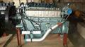 Двигатель Sinotruk WD615.69  336 л/с HOWO
